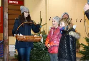 dsc01737.jpg